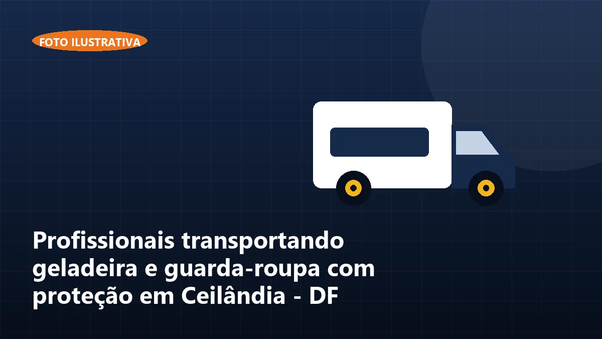Profissionais transportando geladeira e guarda-roupa com proteção em Ceilândia - DF